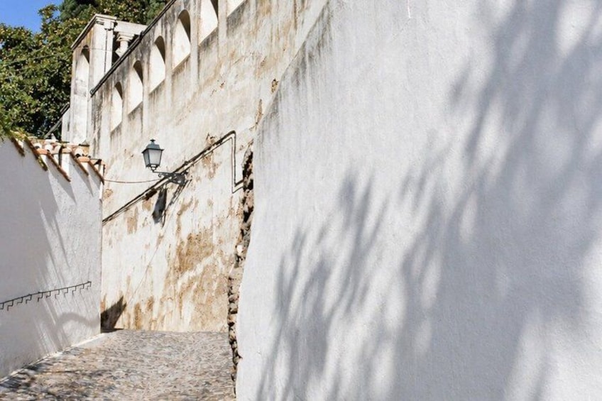A narrow alleyway with a white wall, a street lamp, and shadows of trees. 4