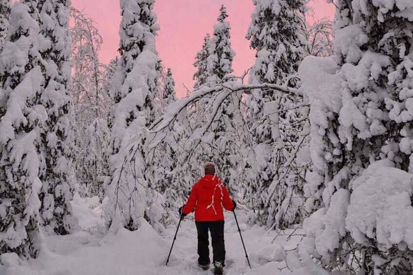A person in a red jacket skiing through a snowy forest. 1