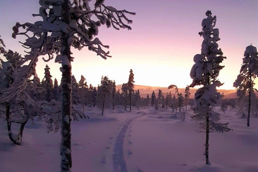 A snow-covered forest with a clear path and a sunset in the background. 2