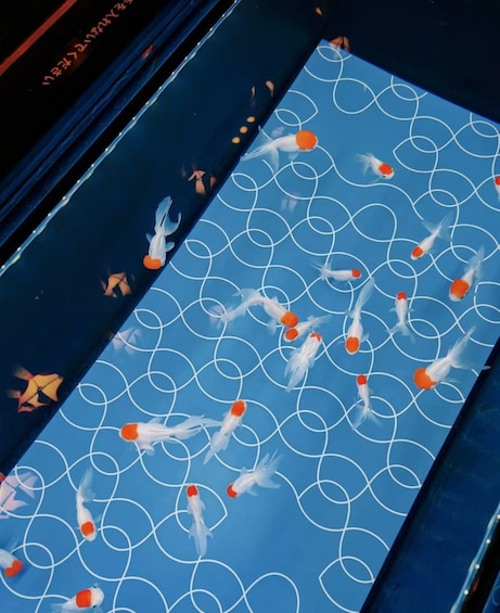 Picture 3 for Activity Tokyo: Sumida Aquarium Ticket & Digital Marine Guide 2