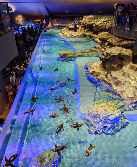 Picture 4 for Activity Tokyo: Sumida Aquarium Ticket & Digital Marine Guide 4
