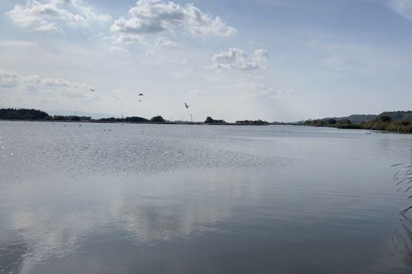 A calm river with reflections of the sky, distant hills, and a few birds flying. 4