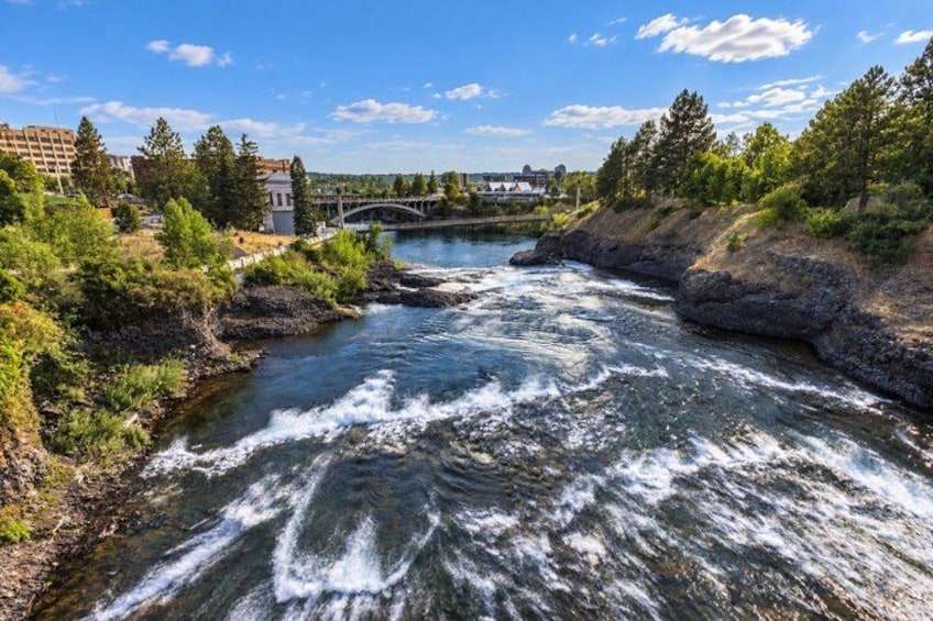 A river with rapids, a bridge, and surrounding greenery. 4