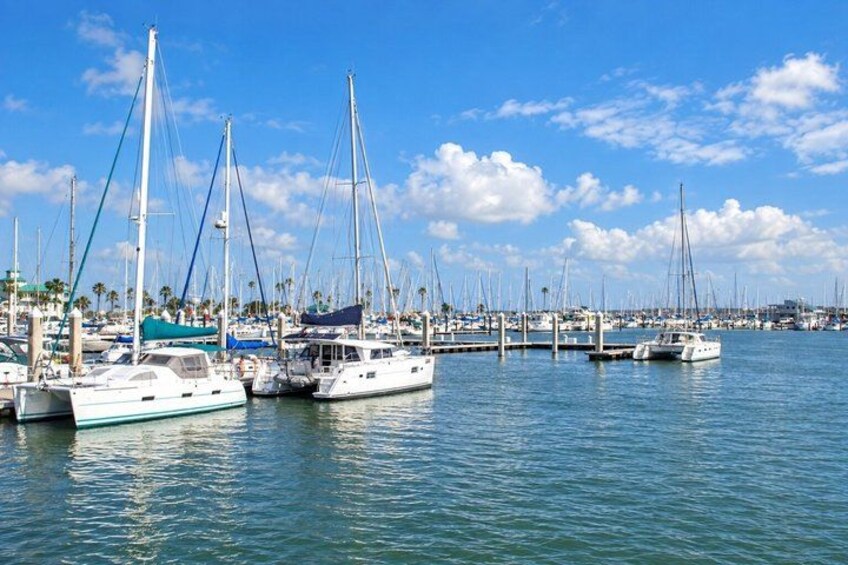 A marina with multiple sailboats docked, calm water, and a clear sky. 4