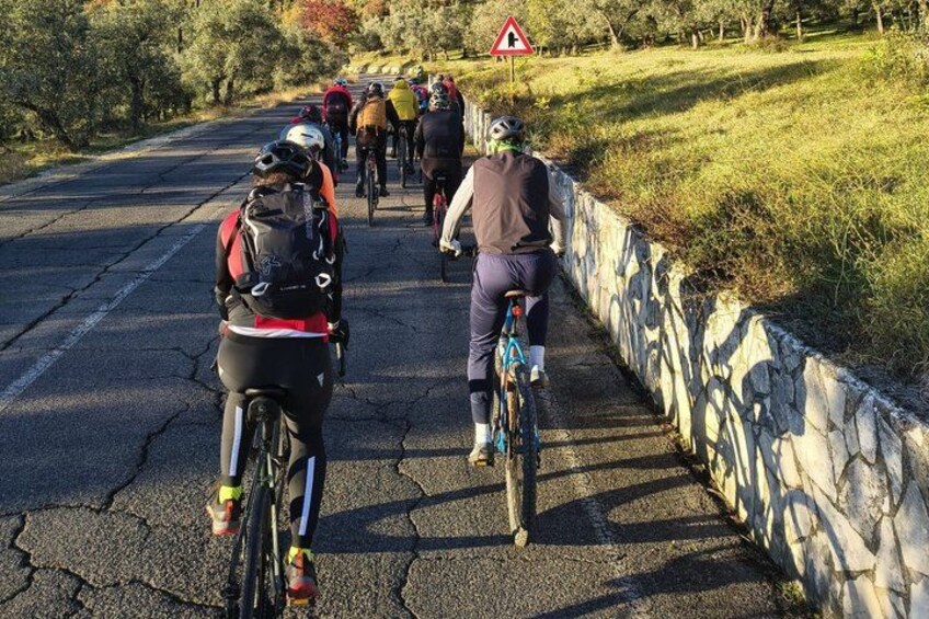 Cyclists on a paved road with a stone wall on one side and trees in the background. 4