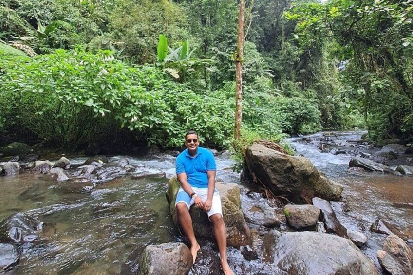 A person sitting on a rock by a flowing stream in a lush, green forest. 5