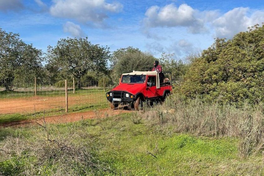 A red vehicle in a rural setting with greenery and a fence in the background. 1