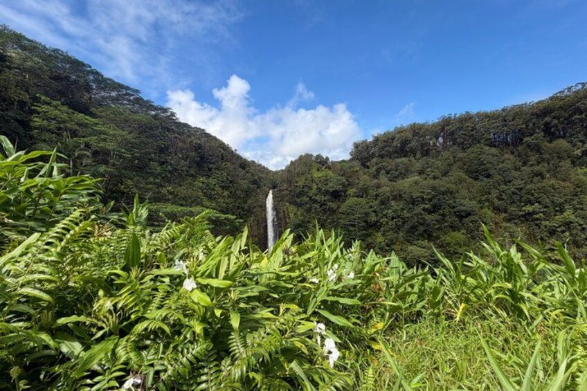A lush green valley with a waterfall in the center, surrounded by dense foliage. 1