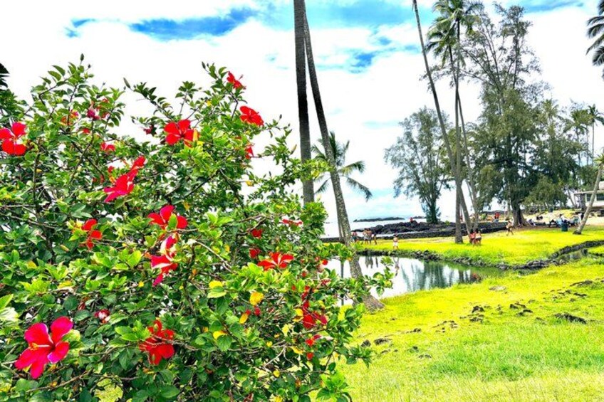 A tropical landscape with a pond, red flowers, and palm trees. 2