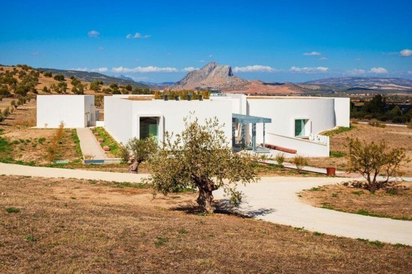 A modern white house with a patio, surrounded by dry grass and a few trees, with a mountain in the background. 3