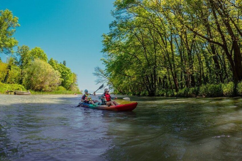 Two people kayaking on a river surrounded by trees. 3