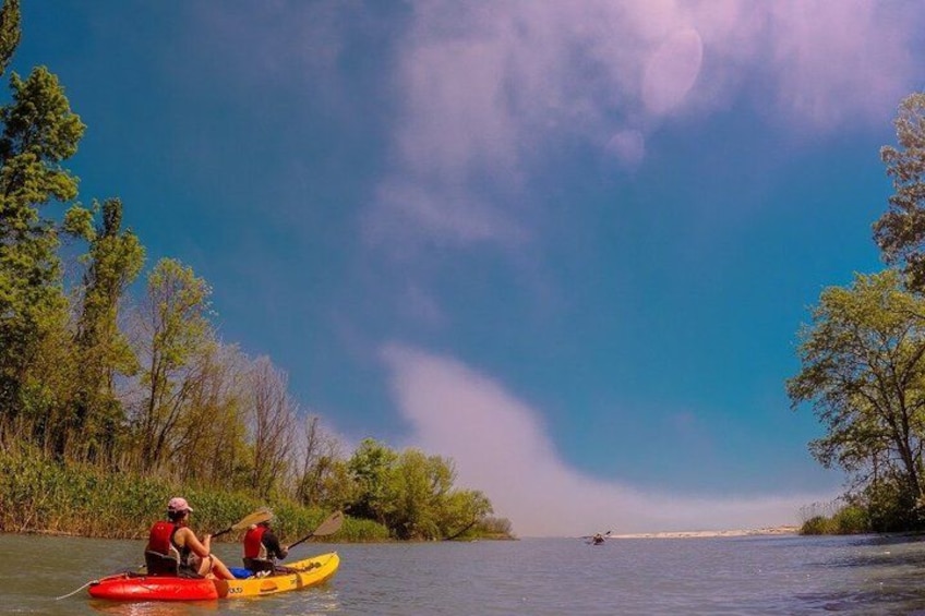 A river scene with kayaks, a person paddling, and trees along the banks. 1