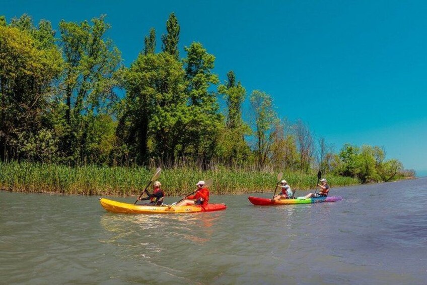 Three people kayaking on a calm river surrounded by lush greenery. 4