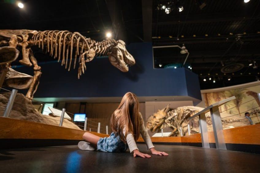 A person sitting on the floor in front of a large dinosaur skeleton exhibit. 3