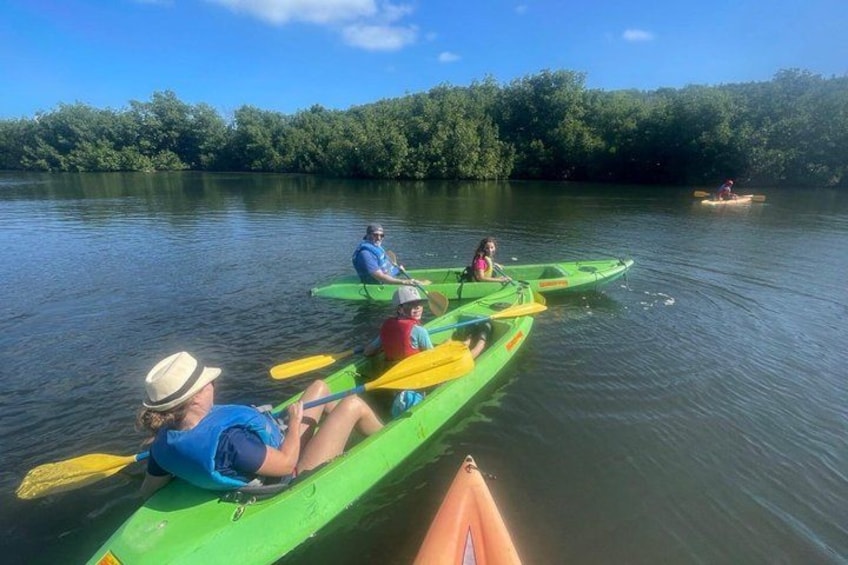 People kayaking on a calm river surrounded by dense greenery. 2