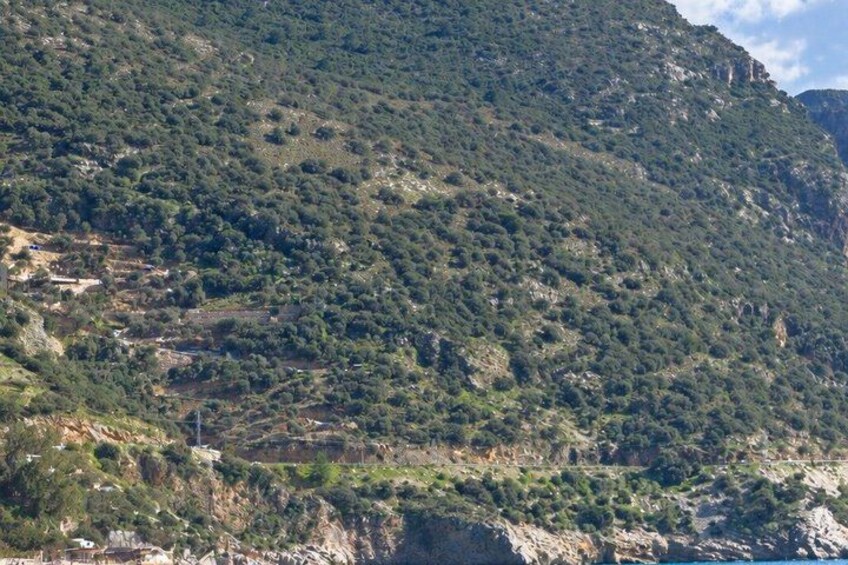 A mountainous landscape with dense vegetation and terraced fields. 4