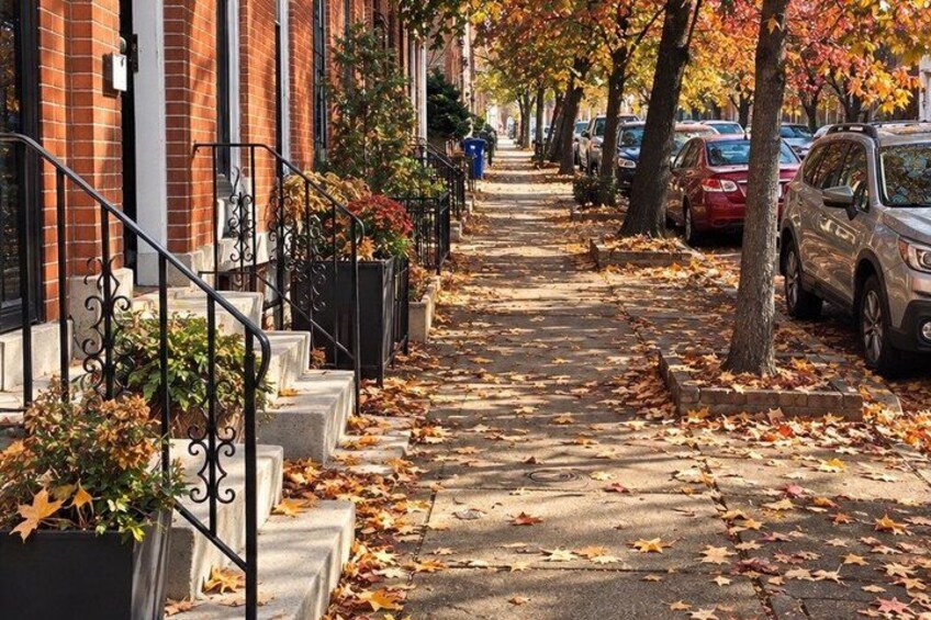 A tree-lined residential street with parked cars and a person walking in the distance. 5