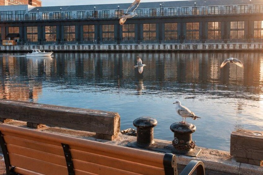 A waterfront with a bench, a seagull, and a bird in flight over the water. 2