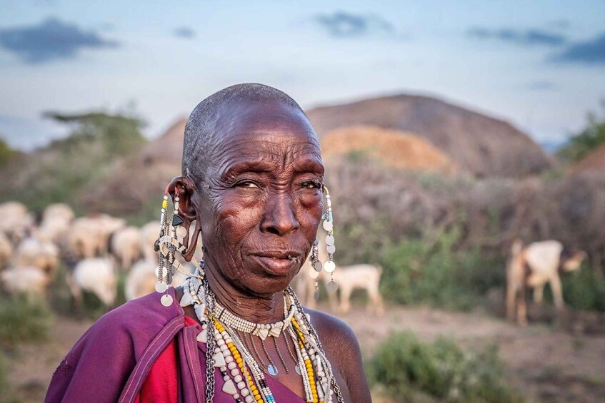 A person with elaborate jewelry, standing in a natural landscape with hills and a herd of animals in the background. 1