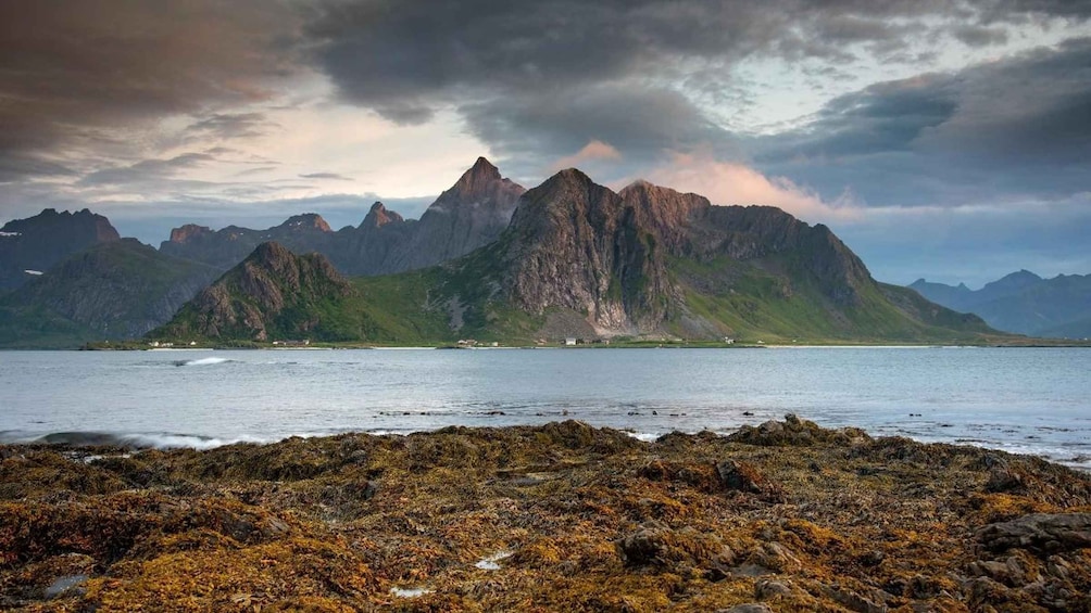 A rugged coastline with rocky shores and a backdrop of towering mountains under a cloudy sky. 1