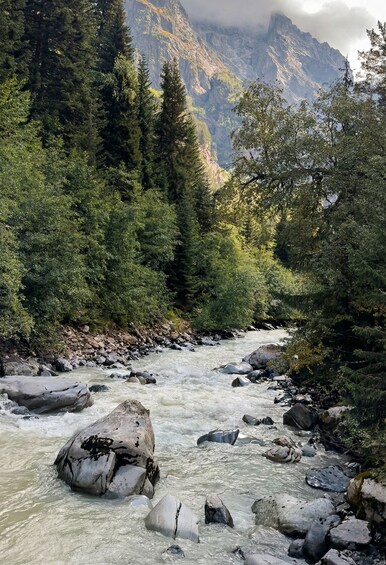 Un río serpentea por un bosque con rocas grandes y montañas al fondo. 5