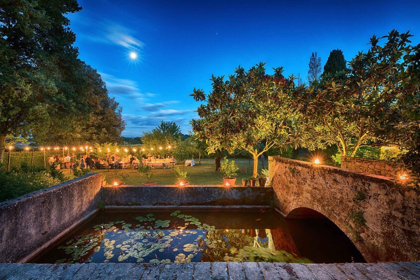 A garden at dusk with a pond, trees, and string lights. 2