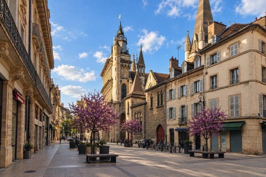 A street lined with historic buildings, a prominent church tower, and blooming trees. 5