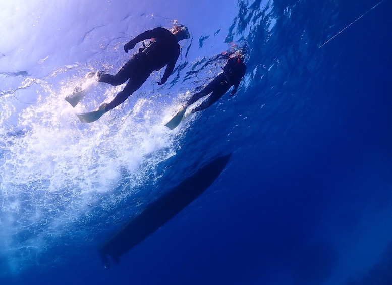 Dos personas buceando bajo el agua. 3