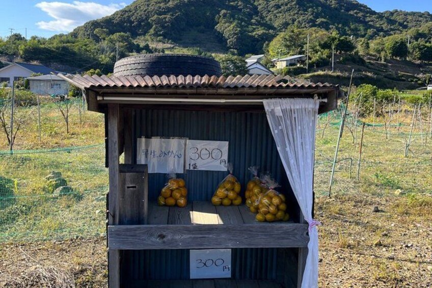 A small wooden structure with a corrugated metal roof, displaying yellow fruits for sale. 3