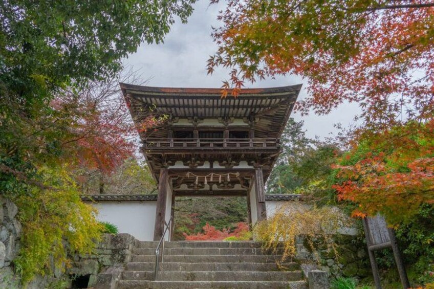 A traditional Japanese torii gate with a stone staircase leading up to it, surrounded by autumn foliage. 5