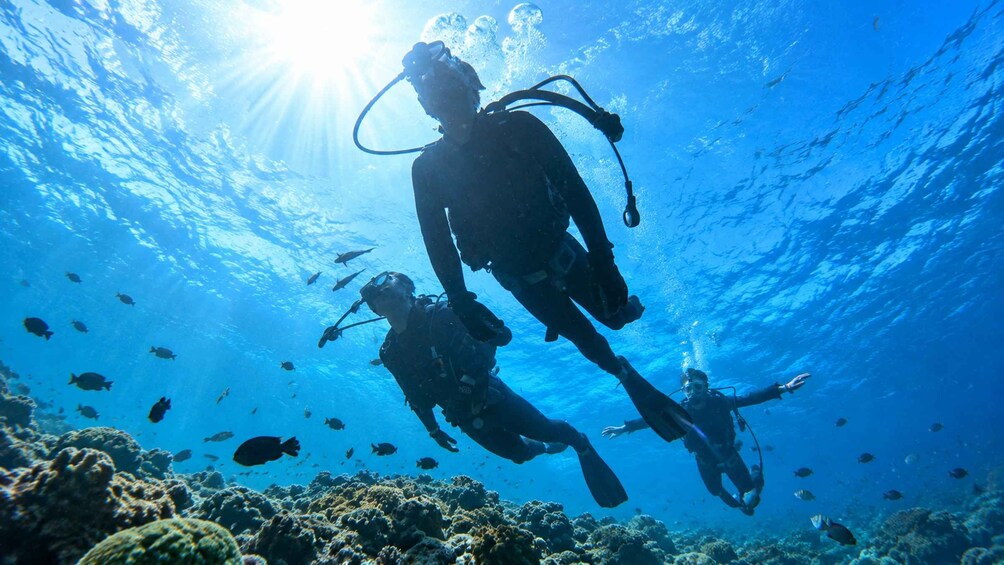 Two scuba divers underwater with sunlight filtering through the water. 1