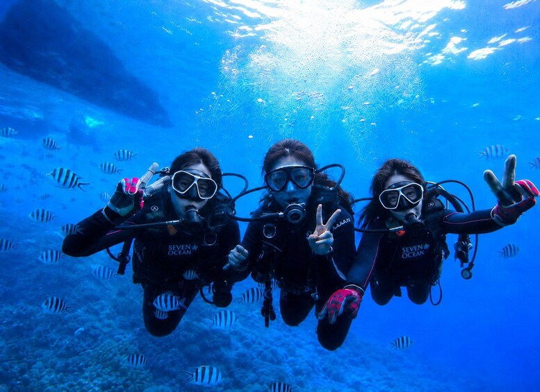 Tres buceadores bajo el agua, con peces de fondo. 1