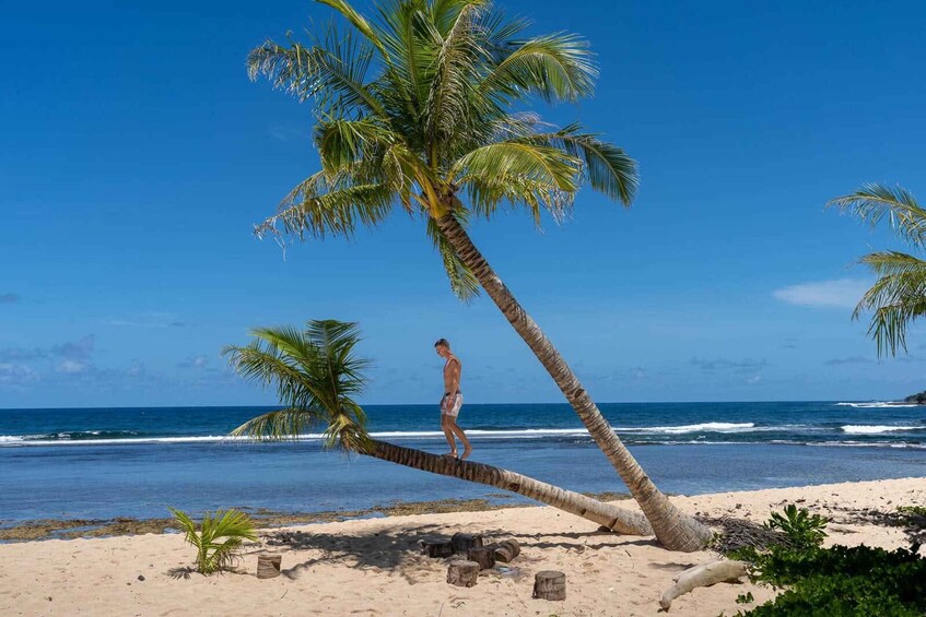 A man balancing on a palm tree branch on a beach with the ocean in the background. 3