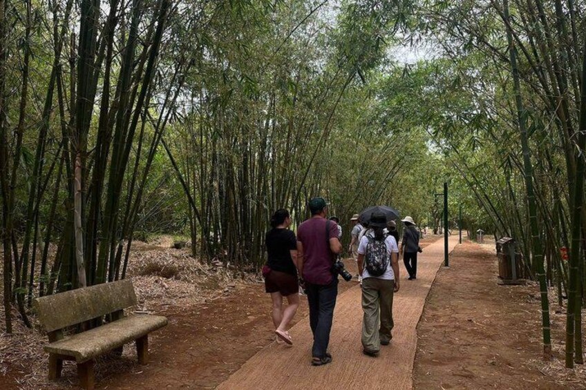 A bamboo forest path with people walking, a wooden bench, and a dirt ground. 2