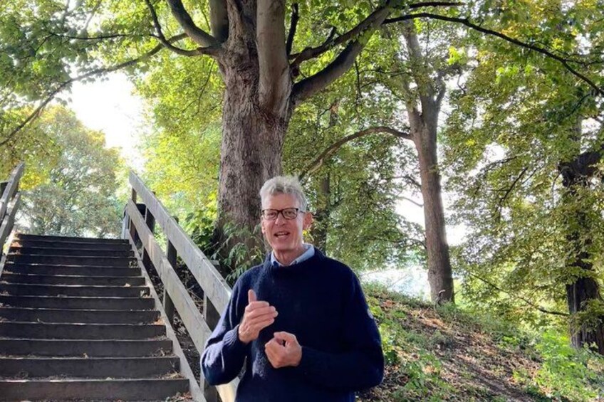A man standing next to a wooden staircase in a wooded area with trees and a large tree trunk in the background. 5