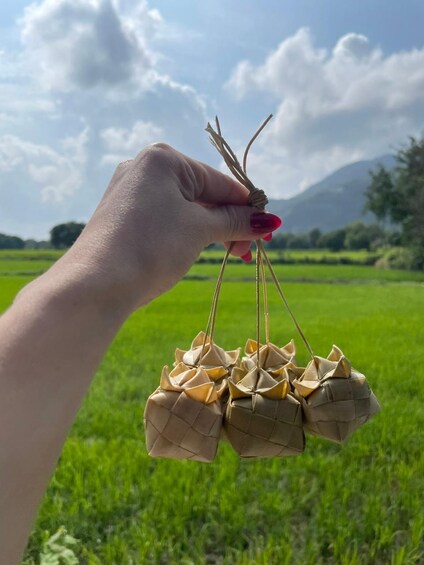 Eine Hand hält einen gewebten Korb, im Hintergrund eine gebirgige Landschaft. 2
