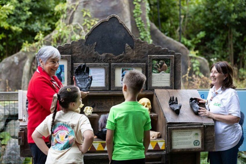 A Discovery Center with educational displays, including a skull and fossil replicas. 3