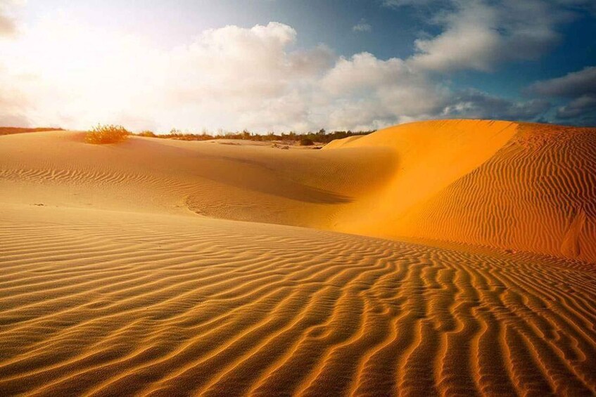 Un paysage désertique avec des dunes de sable et un ciel dégagé. 4
