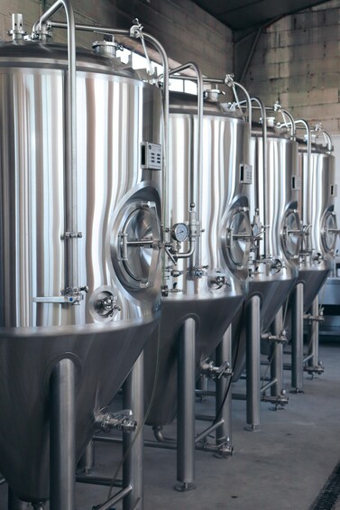 Picture 6 for Activity Castres: Burtonian Beers Brewery Tour with Tasting 2