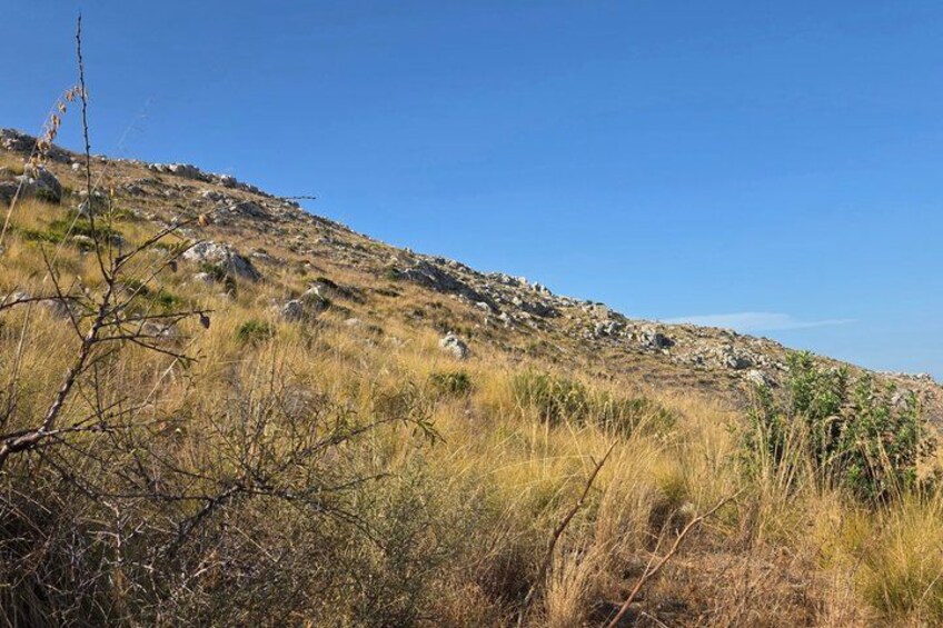 Una ladera rocosa y seca con vegetación escasa bajo un cielo azul despejado. 4