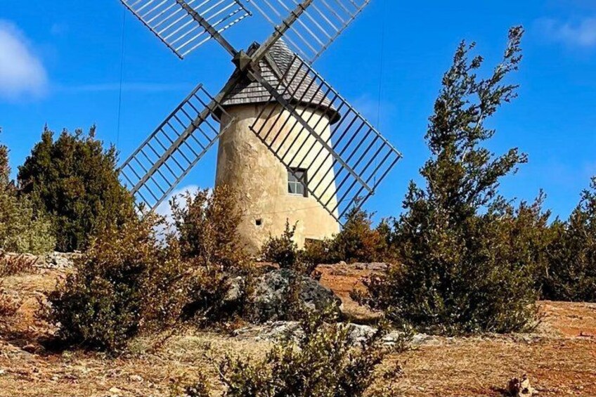 A windmill with a white and grey structure, surrounded by dry bushes and trees. 4