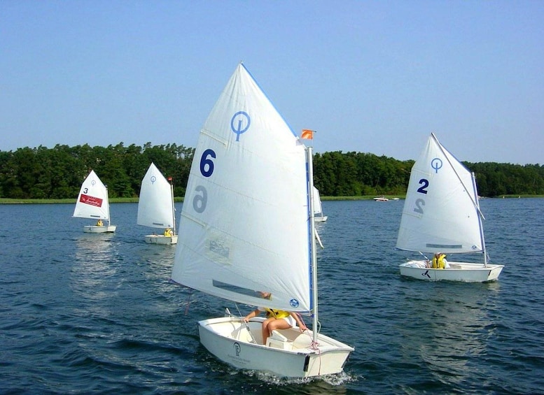 A group of sailboats on a lake with numbered sails. 1