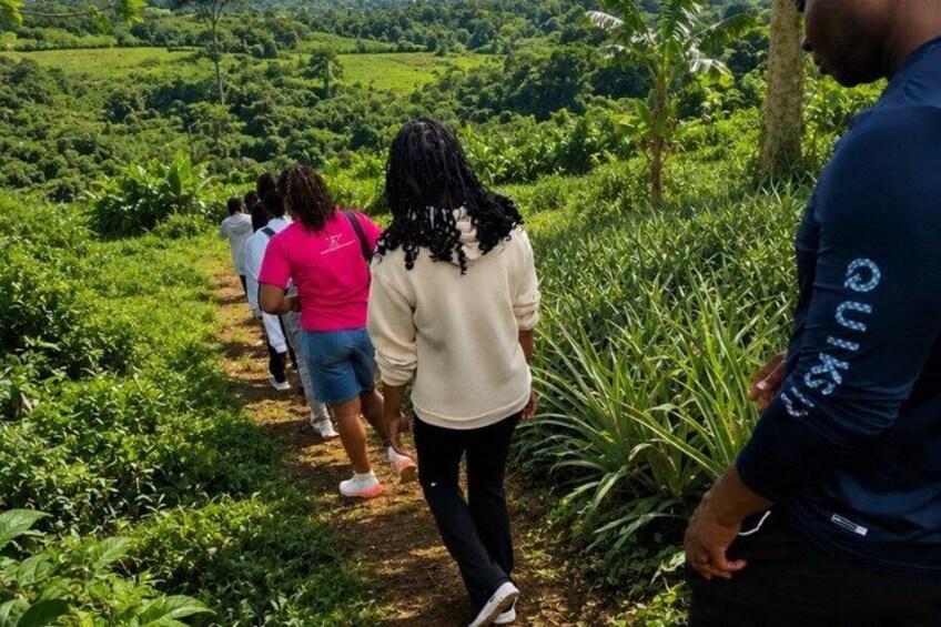 A group of people walking on a dirt path surrounded by lush greenery. 5