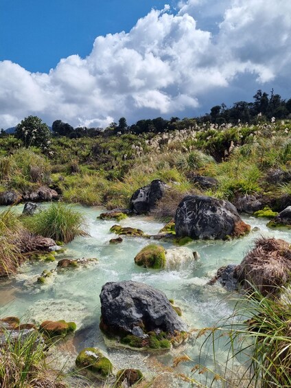 A clear stream with rocks and moss, surrounded by lush greenery and a cloudy sky. 2
