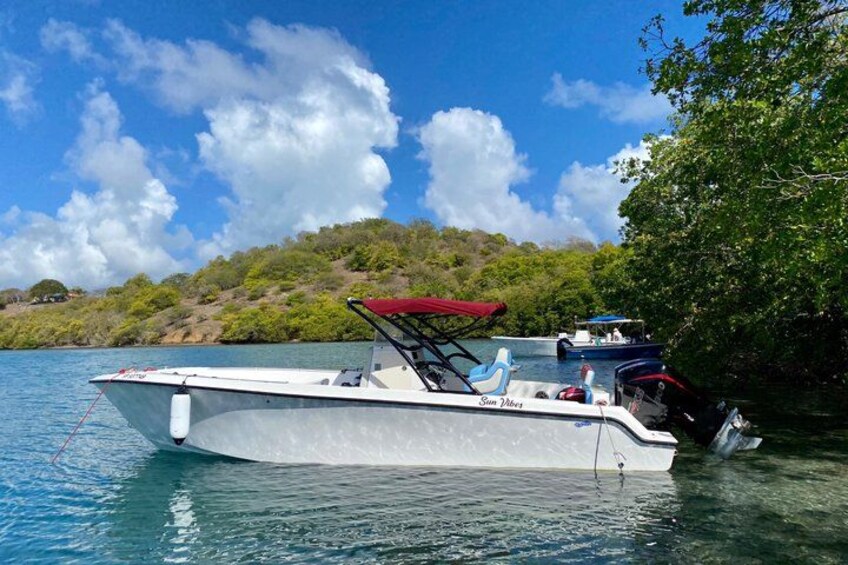 A white boat with a red canopy docked near a shoreline with trees. 4