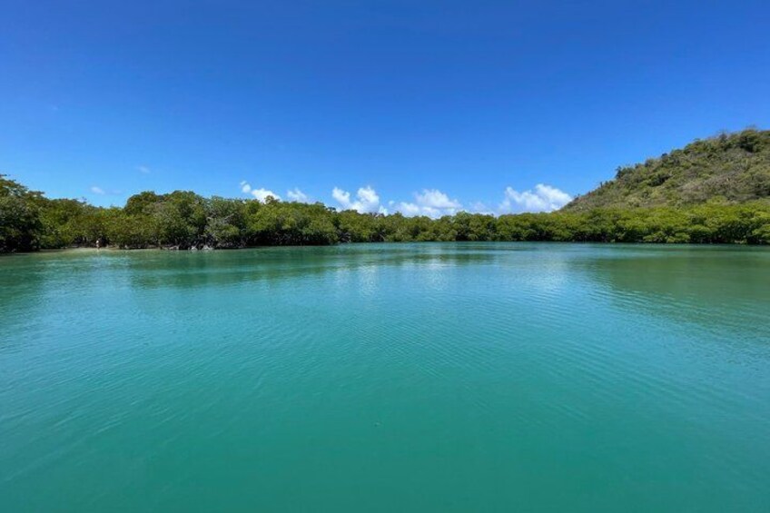 A calm turquoise sea, a clear blue sky, and a forested hill. 2