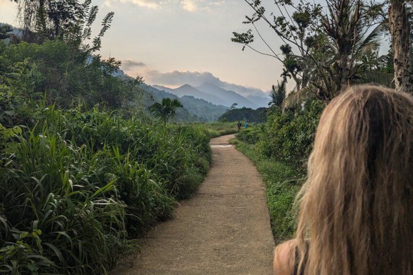 A dirt path surrounded by lush greenery, leading towards distant mountains. 4