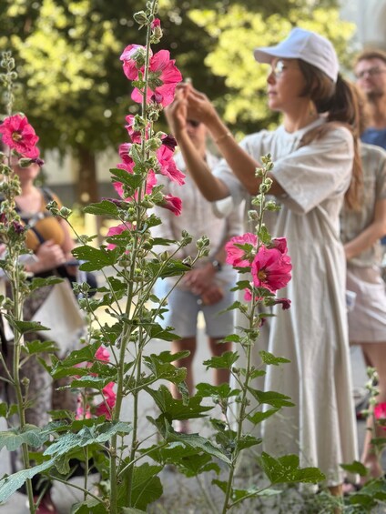A person tending to a plant with pink flowers. 1