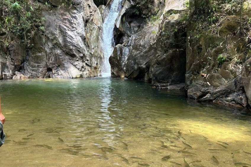 A waterfall, clear water, and rocky terrain. 2