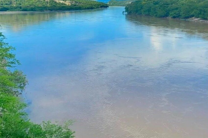 A river with calm water, surrounded by greenery. 5